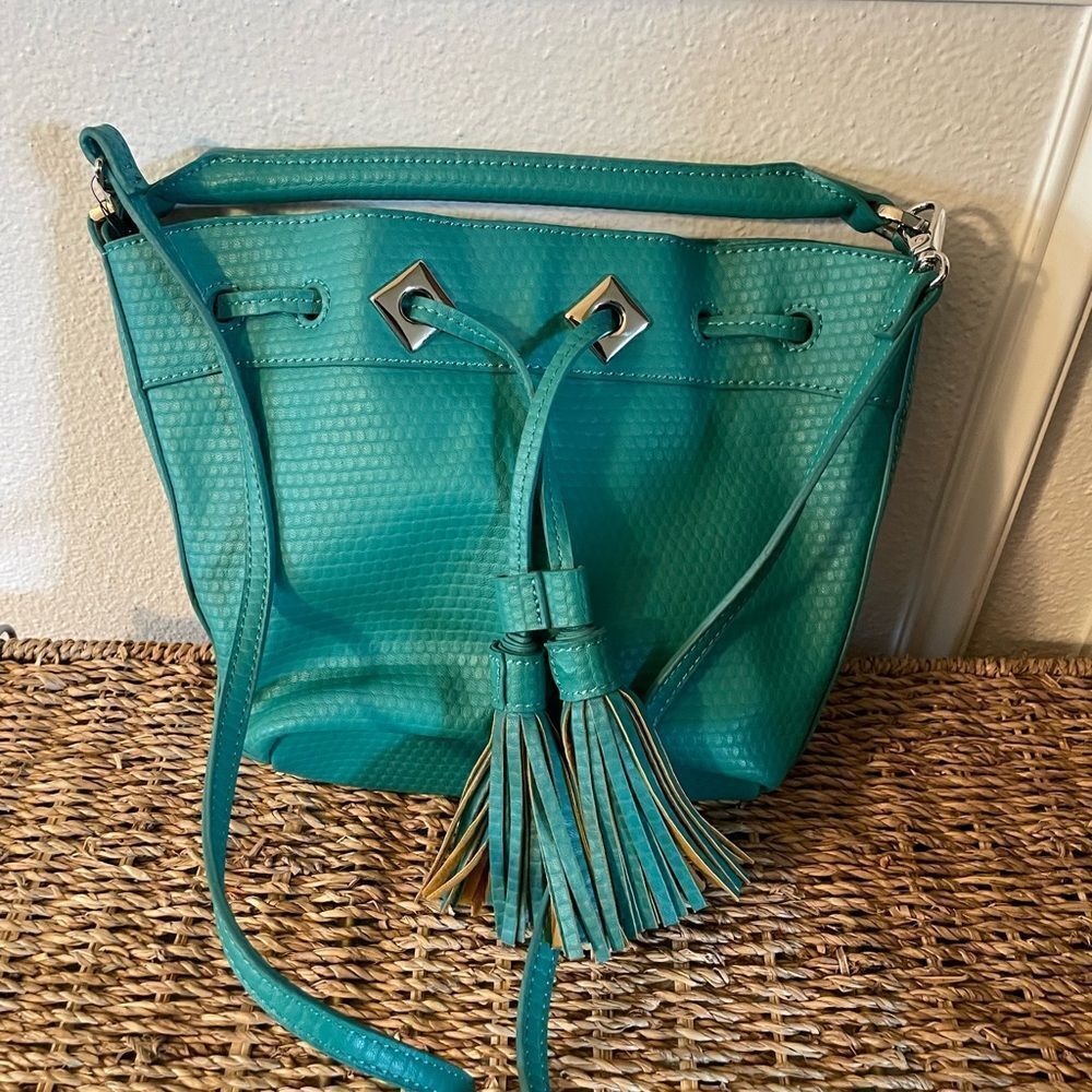 Danielle Nicole CUTE Crossbody Teal Purse